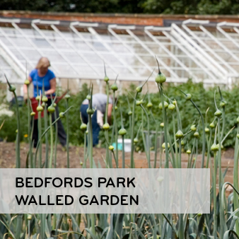 Bedfords Park Walled Garden