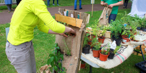 Pallet garden farm, making workshop vertical gardens