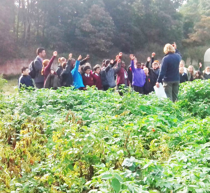 School children learn how to grow healthy food at the Harvest Festival in the Walled Garden