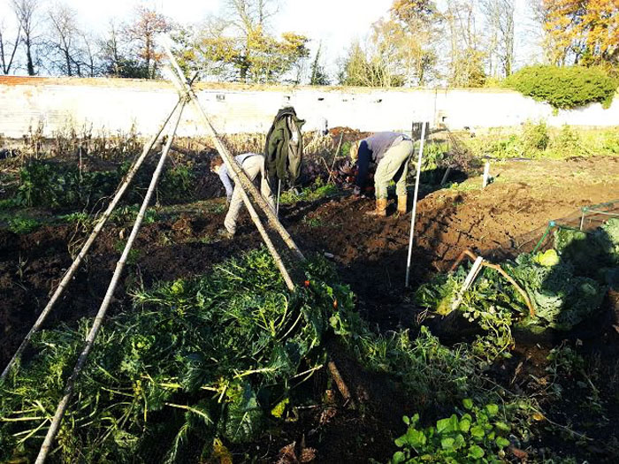 Walled Garden